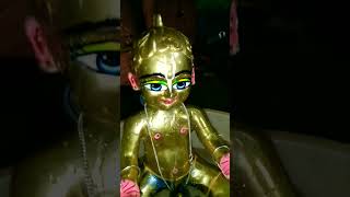 Hey Gopal Giridhar Shyam Tu song  god shortsvideo gopal [upl. by Sherlocke]