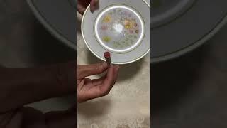 59 Second Video testing vintage quotMeadowquot pattern Corelle dishware for Lead using a home test kit [upl. by Ora428]