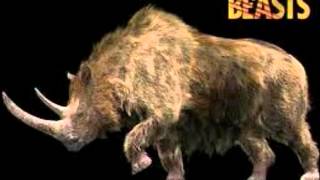 Carnivores Ice Age Animals [upl. by Atilem421]