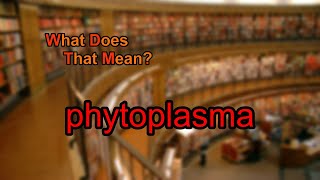 What does phytoplasma mean [upl. by Abocaj336]