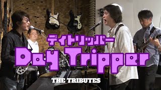 Day Tripper「デイ・トリッパー」 The Tributes 「トリビューツ」Beatles cover [upl. by Wooldridge]