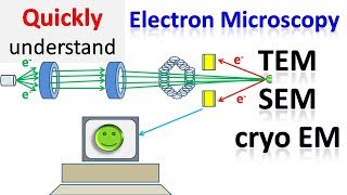 10 Types of Microscope  Simple to Electron Microscope Quick Revision microscopes [upl. by Berfield]