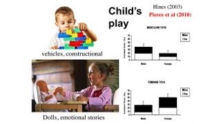 CARTA Human Origins Autism Spectrum Disorders  Simon BaronCohen The Fetal Androgen Theory [upl. by Kalagher]