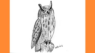 How to draw an owl [upl. by Ahsinert]