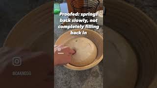 Proofing Sourdough The Poke Test [upl. by Iralav]