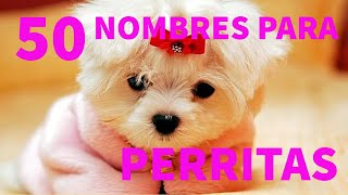 Los 50 mejores nombres para PERRITAS [upl. by Whitby]