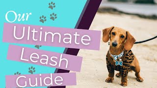 Our Ultimate Guide to Picking the Best Leash for Dogs Including the Best Long Lead for Dogs [upl. by Nohpets]