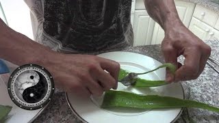 Benefits of eating an Aloe Vera plant and how to [upl. by Cordova]