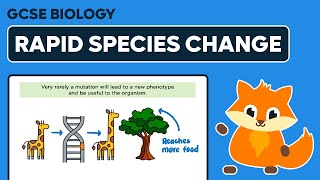 Mutation and Rapid Species Change  GCSE Biology [upl. by Ahtelrac]