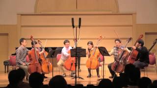 HAYDN  Divertimento for cello in D major [upl. by Aletse]