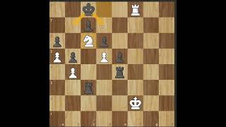 Hook Mate Checkmate5 shorts chess [upl. by Kilan13]