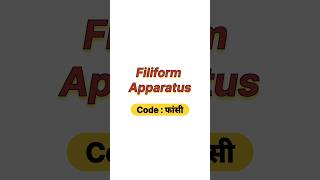 Filiform apparatus [upl. by Vivyanne752]