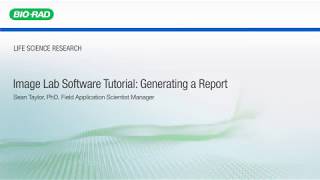 Image Lab Software Tutorial Generating a Report [upl. by Isaak]