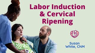 Labor Induction and Cervical Ripening Pitocin and other Methods of Inducing Labor [upl. by Sergu767]