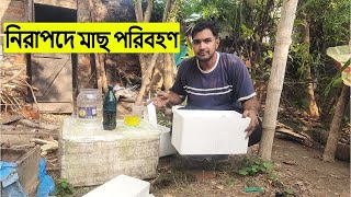 সহজে ও নিরাপদে মাছ পরিবহণ। How transport live fish safely and packaging [upl. by Jehius]