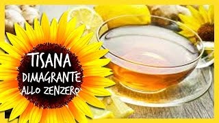 Tisana dimagrante allo Zenzero ricetta per dimagrire [upl. by Gustafsson423]