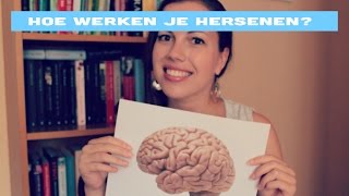 Hoe werkt je brein voor beginners [upl. by Nnahtebazile759]