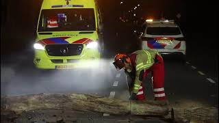 Fietser rijdt tegen omgewaaide boom in Barneveld [upl. by Caitlin]