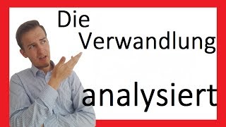 Die Verwandlung  Analyse  Prosa IV [upl. by Darees152]