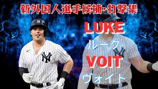 新外国人選手候補 ルーク・ヴォイトLuke Voit・打撃集！ [upl. by Vevine]