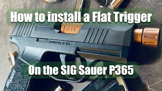 Easiest Way to Swap SIG Sauer P365 Trigger [upl. by Ameluz462]