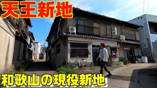 【歴史】日本の遊郭 和歌山 天王新地を散歩 [upl. by Ahsuoj]