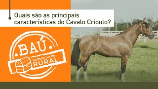 Quais são as principais características do Cavalo Crioulo [upl. by Alexio946]