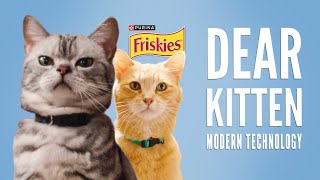 Dear Kitten Modern Technology  Presented by Friskies amp BuzzFeed [upl. by Nueormahc]