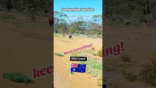 Keep Travelling Australia with our van australia vanlife vanlifetravelvlog travel [upl. by Eixam494]