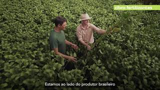 Cibra  Fertilizar parcerias para alimentar e transformar vidas 30quot [upl. by Euqinoj]