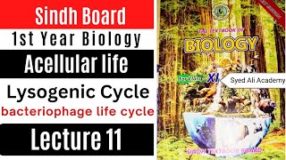 lysogenic cycle  acellular life  1st Year biology Sindh text book board new Book class 11 [upl. by Dewhirst]