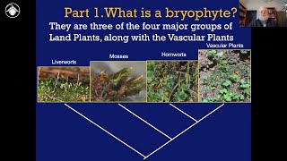 Bryophytes Module 1 What is a bryophyte [upl. by Naitsabas]