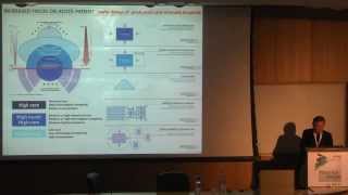 Gianfranco Carrara Hospital Design 21st Century Technion lecture [upl. by Ytirahc143]