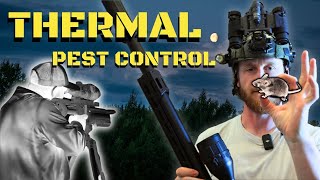 THERMAL AIRGUN HUNTING  Night Vision Pest Control [upl. by Robbyn]