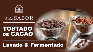 Todo lo que tienes que saber sobre Tostado de CACAO [upl. by Notfa]