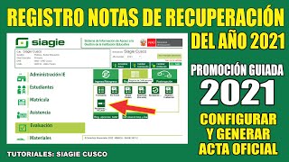 Siagie Cusco 2022  Ingreso de NOTAS DE RECUPERACIÓN PROMOCIÓN GUIADA DEL 20212022 GENERAR ACTA [upl. by Allsun205]