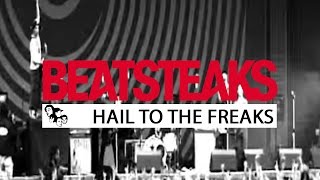 Beatsteaks  Hail to the Freaks Official Video [upl. by Martreb811]