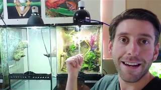 Vivarium Build  Installing Custom Glass Top and Mist Nozzle on ExoTerra [upl. by Llertnor]