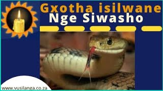 Gxotha isilwane ngesi washo Focusing on inyoka in your yard [upl. by Romulus579]