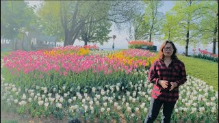 THE FAMOUS TULIP GARDEN IN SWITZERLANDNelfa Sela Vlog [upl. by Nilyac]