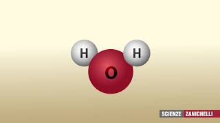 il legame a idrogeno [upl. by Sorci]