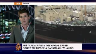 UN court rules against Japan whaling [upl. by Hudnut]