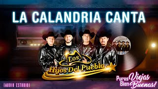 Los Hijos Del Pueblo  La Calandria Canta audio estudio [upl. by Applegate5]