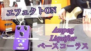 新入荷Ampeg Liquifier ベースコーラス弾いてみた [upl. by Naellij]