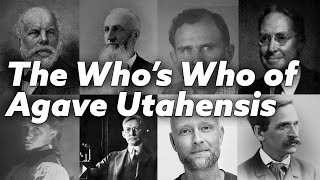 The Whos Who of Agave Utahensis Scientists Botanists and Explorers [upl. by Armilda]