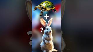 😍 VIEWERS HYBRID IDEAS hybrid animals fusion  Turtle  Rabbit [upl. by Lahcsap]