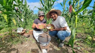 FEIJÃO VERDE COM CHARQUE E CALABRESA COM MAXIXE E QUIABO NA ROÇA DO SÍTIO DO ZERO RECANTO EBENÉZER [upl. by Haswell]