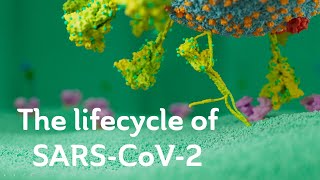 Basic Intro into MIPS  li add sub mul div [upl. by Civ60]