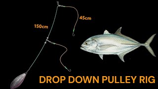 Drop down pulley rig  How to make fishing rigs [upl. by Aral]