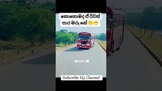 රිවස් එක😁bus trending automobile 1million [upl. by Anawd]